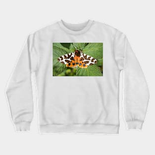 Garden Tiger Moth Photo Crewneck Sweatshirt